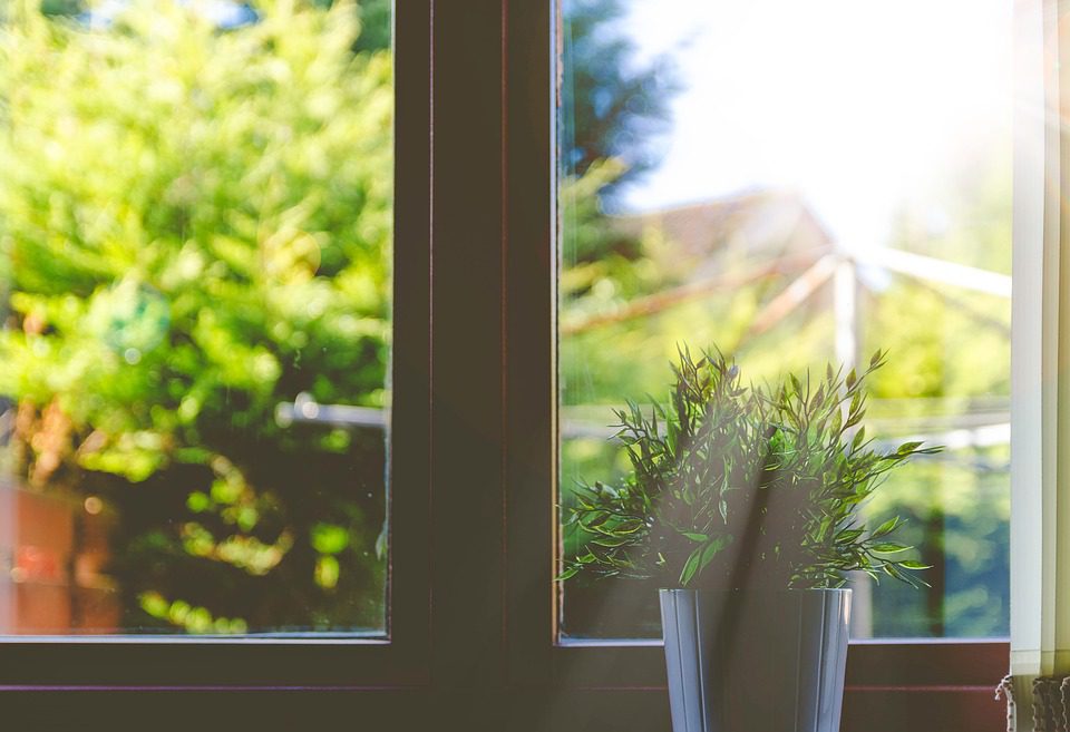 energy saving window tint denver