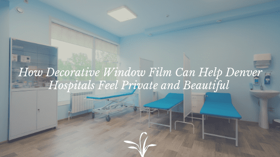 decorative window film denver hospitals